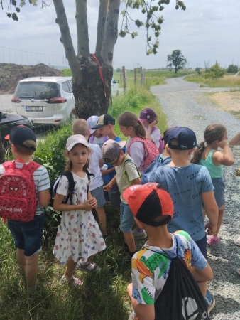 Cesta za pokladem