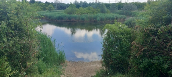Výlet k rybníku Šmoldus