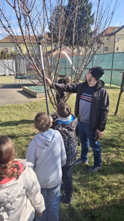 Pracovní činnosti  - Prořezávání ovocných stromů